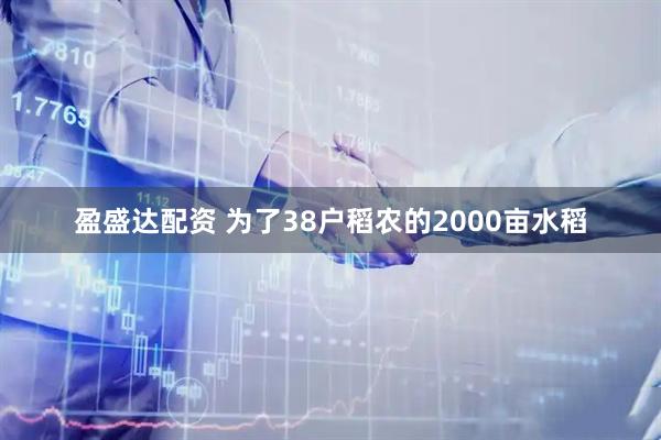 盈盛达配资 为了38户稻农的2000亩水稻