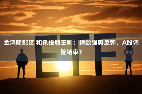 金鸿隆配资 和讯投顾王帅：指数强势反弹，A股调整结束？