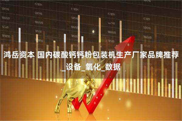 鸿岳资本 国内碳酸钙钙粉包装机生产厂家品牌推荐_设备_氧化_数据